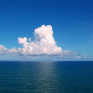 Meet your Posher, Mackenzie